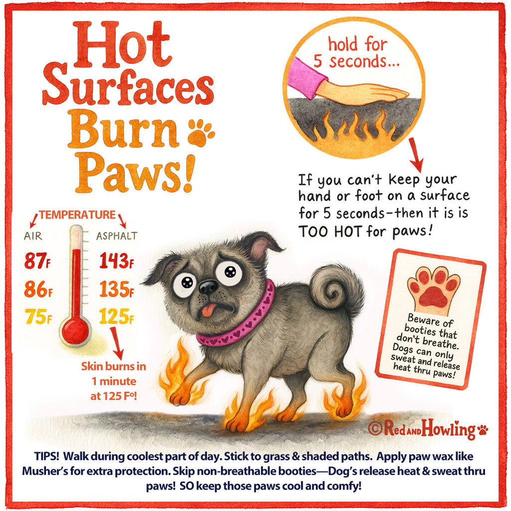 Hot Surfaces Burn Paws!