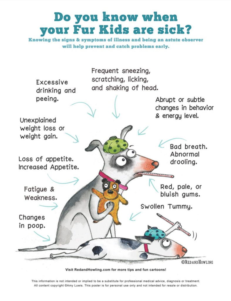 FREE Poster Download: Do You Know When Your Fur Kids Are Sick? - Red and Howling
